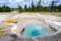 Lemon Spring hydrothermal area in the Great Fountain Group, Yellowstone National Park, USA