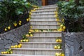 Lemon stairs