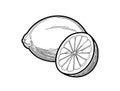 Lemon - a stylized fruit drawn in thin lines with strokes in a flat style. Coloring book - Citrus fruit isolated on a white