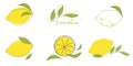 Lemon Sublimation Bundle.Lemon Clipart.Vector hand drawn lemon.Hand drawn line art.Doodle lemon.