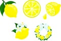 Refreshing Lemon Icon Collection