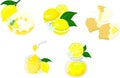 Refreshing Lemon Sweets Icon Collection