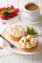 Lemon tart with meringue and coffee with milk close-up. vertical Royalty Free Stock Photo