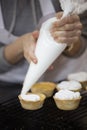 Lemon tart and meringue Royalty Free Stock Photo