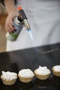 Lemon tart and meringue Royalty Free Stock Photo
