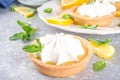 Lemon tartlets, mini tart cakes Royalty Free Stock Photo