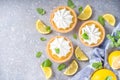 Lemon tartlets, mini tart cakes Royalty Free Stock Photo