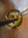 lemon tea ice with black straw Royalty Free Stock Photo