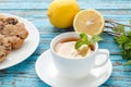 Lemon tea mint fresh drink raisin cookies summer refreshment still life Royalty Free Stock Photo