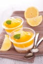 Lemon tiramisu or cheesecake