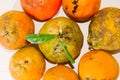 Lemon: Top view of a bunch of Rangpur lime