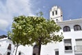 Lemon tree in front of San Antonio church in Frigiliana - Spanish white village Andalusia