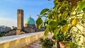 Padua - Lemon tree on a balcony with scenic view on Basilica di Santa Maria del Carmine in Padua, Veneto, Italy, Europe