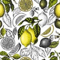 Lemon tree seamless pattern. Hand drawn vector fruit illustration. Engraved style banner. Vintage citrus design Royalty Free Stock Photo