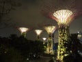 Super Trees at Gardens by the Bay, Singapore