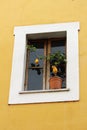 Lemon tree on window sill, Rome, Italy Royalty Free Stock Photo