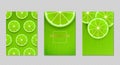 Vector background set with fresh lime slices. Green summer poster or banner template