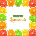 Vector frame from citrus slices - orange, lime, lemon, grapefruit