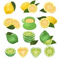 Lemon vector green lime and lemony sliced yellow citrus fruit and fresh juicy lemonade illustration natural set of