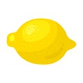 Lemon vector icon.Cartoon vector icon isolated on white background lemon. Royalty Free Stock Photo