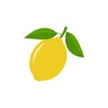 Lemon vector icon illustration isolated on white Royalty Free Stock Photo