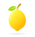 Lemon vector icon