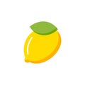 Lemon vector icon line flat illustration. Lemon juice taste citrus fruit fresh design logo Royalty Free Stock Photo