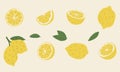 lemon cute 2