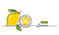 Lemon vector illustration. One continuous line drawing art illustration with lettering organic lemon