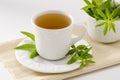 Lemon verbena herbal tea Royalty Free Stock Photo