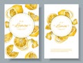 Lemon vertcal banners Royalty Free Stock Photo