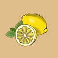 Lemon in vintage style. Colored vector illustration Royalty Free Stock Photo
