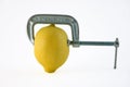 Lemon Vise Royalty Free Stock Photo