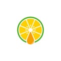 Lemon water drop symbol geometric colorful logo vector Royalty Free Stock Photo