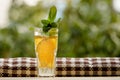 Lemon water with mint in a glass. Summer garden background.