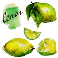 Lemon watercolor