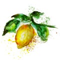 Lemon watercolor