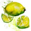 Lemon watercolor