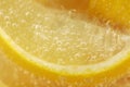 Lemon Wedges in Glass Mineral Water Royalty Free Stock Photo