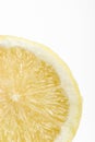 Lemon on a white background