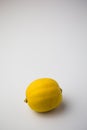 Lemon on white background in macro