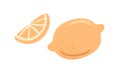 Lemon, whole fresh citrus and fruit piece with yellow juicy pulp. Tropical sour food and cut slice, segment. Flat vector