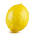 Lemon Whole Isolated on White Background. Beautiful Fresh and Tasty Citrus Fruit Close Up