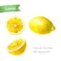 Lemon whole and sliced isolated watercolor illustration