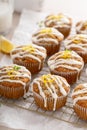 Lemon zucchini muffins drizzled with sugar glaze