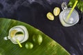 Lemonade on blackboard, palm leaf