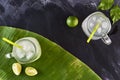 Lemonade on blackboard, palm leaf