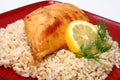 Lemonade Chicken and Brown Rice Royalty Free Stock Photo