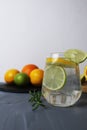 lemonade citrus orange lime lemon in a glass with ice and rosemary on a gray background next to the fruits close-up. Preparation Royalty Free Stock Photo