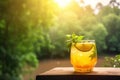 Lemonade cocktail with leaves on the table in the forest. Summer background. Royalty Free Stock Photo